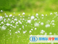 綿陽2021年中考孩子的營養餐