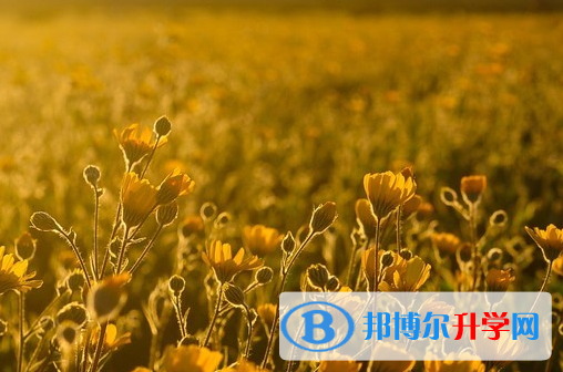 綿陽2022年中考時間