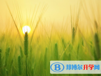 綿陽2022年中考要求