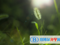 綿陽2022年中考應對策略