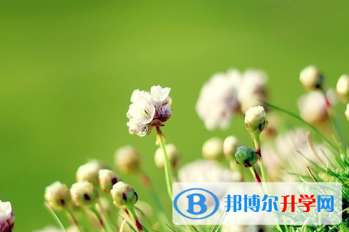 綿陽2022年中考注意事項