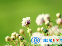 綿陽2022年中考注意事項