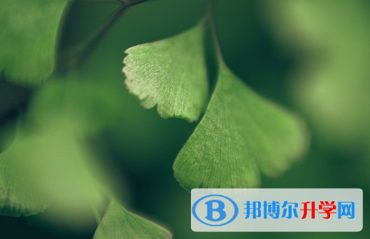 綿陽2022年中考重點復習