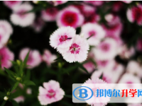 綿陽2022年中考注意事項和技巧