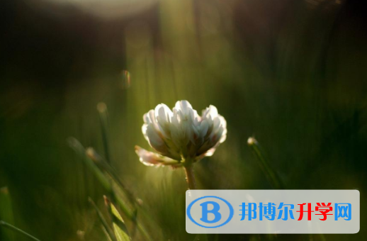 綿陽2022年中考準考證