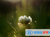綿陽2022年中考準考證