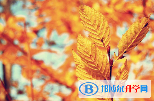 綿陽2022年中考自主招生情況