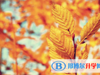 綿陽2022年中考自主招生情況
