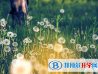 綿陽2022年中考自主招生是什么意思