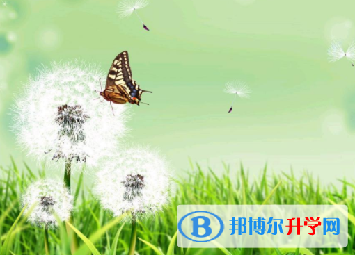 綿陽2022年中考招生學校