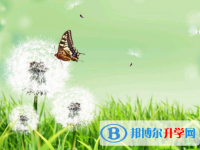 綿陽2022年中考招生學校