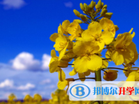 綿陽2022年中考落榜的出路