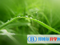 綿陽2022年中考準考證丟了怎么辦