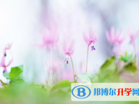綿陽2022年中考有不有補錄