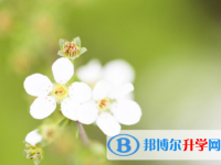 綿陽2022年中考怎么辦