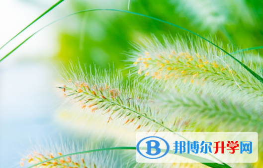 綿陽2022年中考怎么飲食