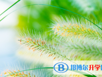綿陽2022年中考怎么飲食