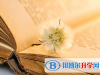 綿陽2022年中考怎么作弊是最好的