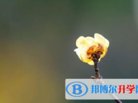 綿陽2022年中考需要準備什么