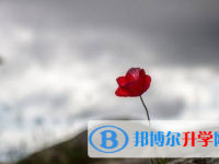 綿陽2022年中考是否有高價生
