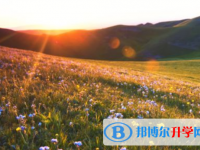綿陽2022年中考失利怎么辦