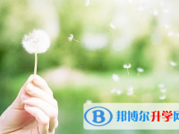綿陽2022年中考200多的哪些學校要