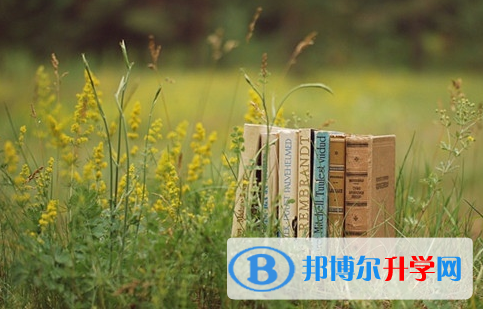 綿陽2022年今年中考時間是幾號