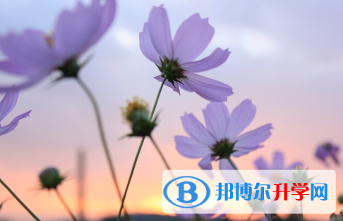 綿陽2022年沒有學籍可以參加中考嗎