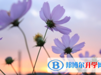 綿陽2022年沒有學籍可以參加中考嗎