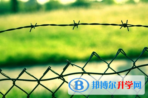 綿陽2022年未參加中考可以讀啥學校