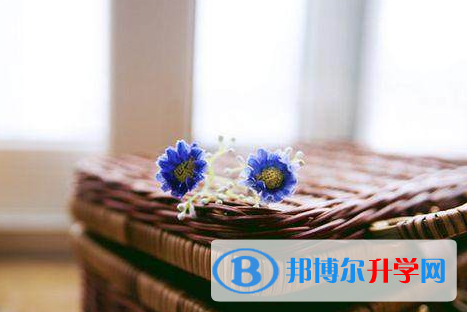 綿陽2022年優志愿中考版