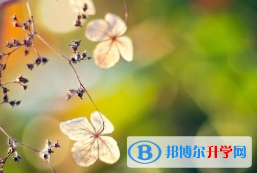 綿陽2022年中考填報志愿后還可以改嗎