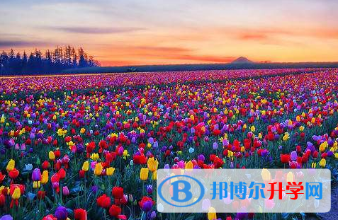 廣元2022年中考成績什么時間知道