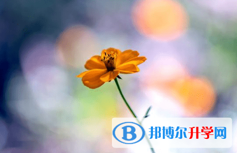 廣元2022年中考成績怎么算