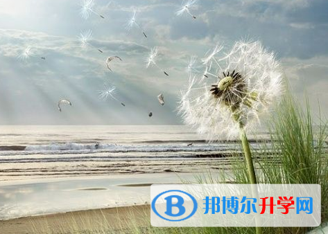 廣元2022年中考報名系統