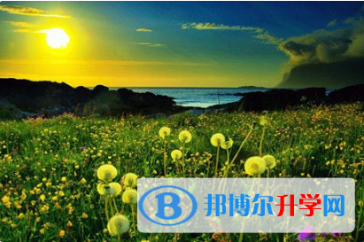 廣元2022年中考錄取結果