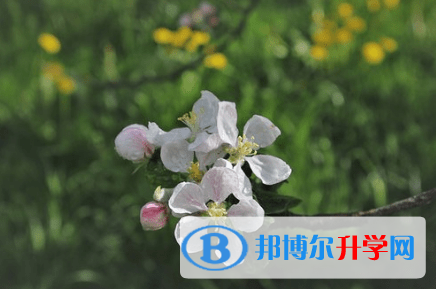 廣元2022年中考人數