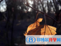 廣元2022年中考升學錄取比例