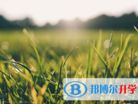 廣元2022年中考網絡應用平臺