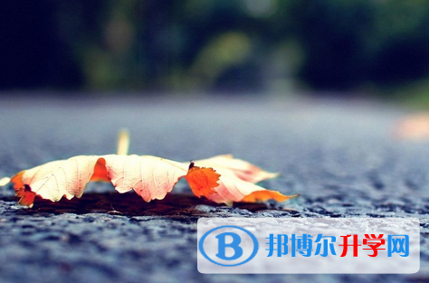 廣元2022年中考453可以讀哪些學校
