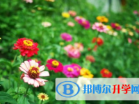 廣元2022年什么是中考調劑生