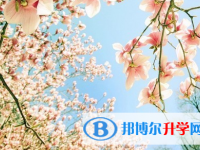 遂寧2022年網上查詢中考成績