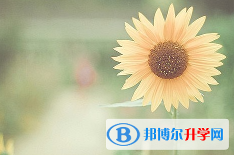 遂寧2022年中考成績查詢方法