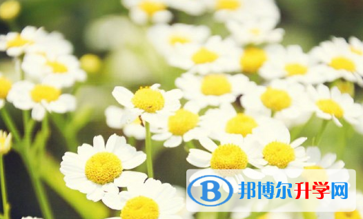 遂寧2022年中考成績如何查詢