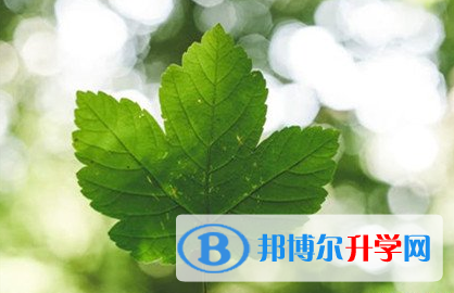 遂寧2022年中考錄取規劃線