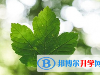 遂寧2022年中考錄取規劃線