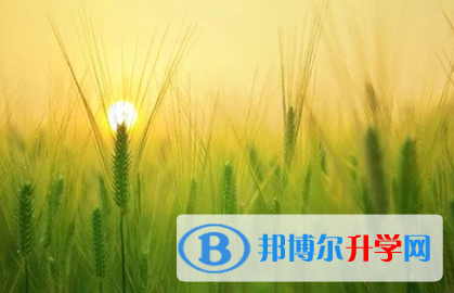 遂寧2022年中考錄取結果查詢