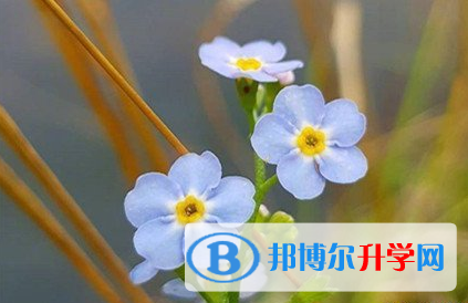 遂寧2022年中考錄取時間