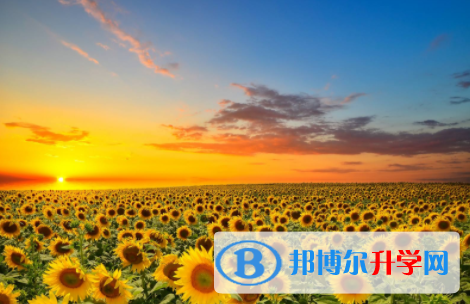 遂寧2022年中考志愿官網