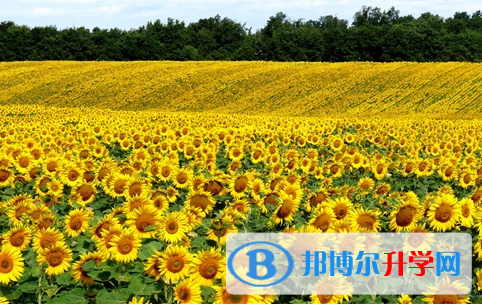 遂寧2022年中考準考證信息